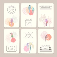 /album/illustrator/a08%e3%80%8a%e8%8a%b1%e7%b9%aa%e9%b3%a5%e5%b0%8f%e5%8d%a1%e3%80%8b-jpg/