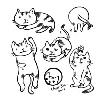 /album/%e9%9b%bb%e7%b9%aa/a20160125-cat-jpg2/