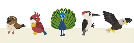 《動物園物語-鳥類》